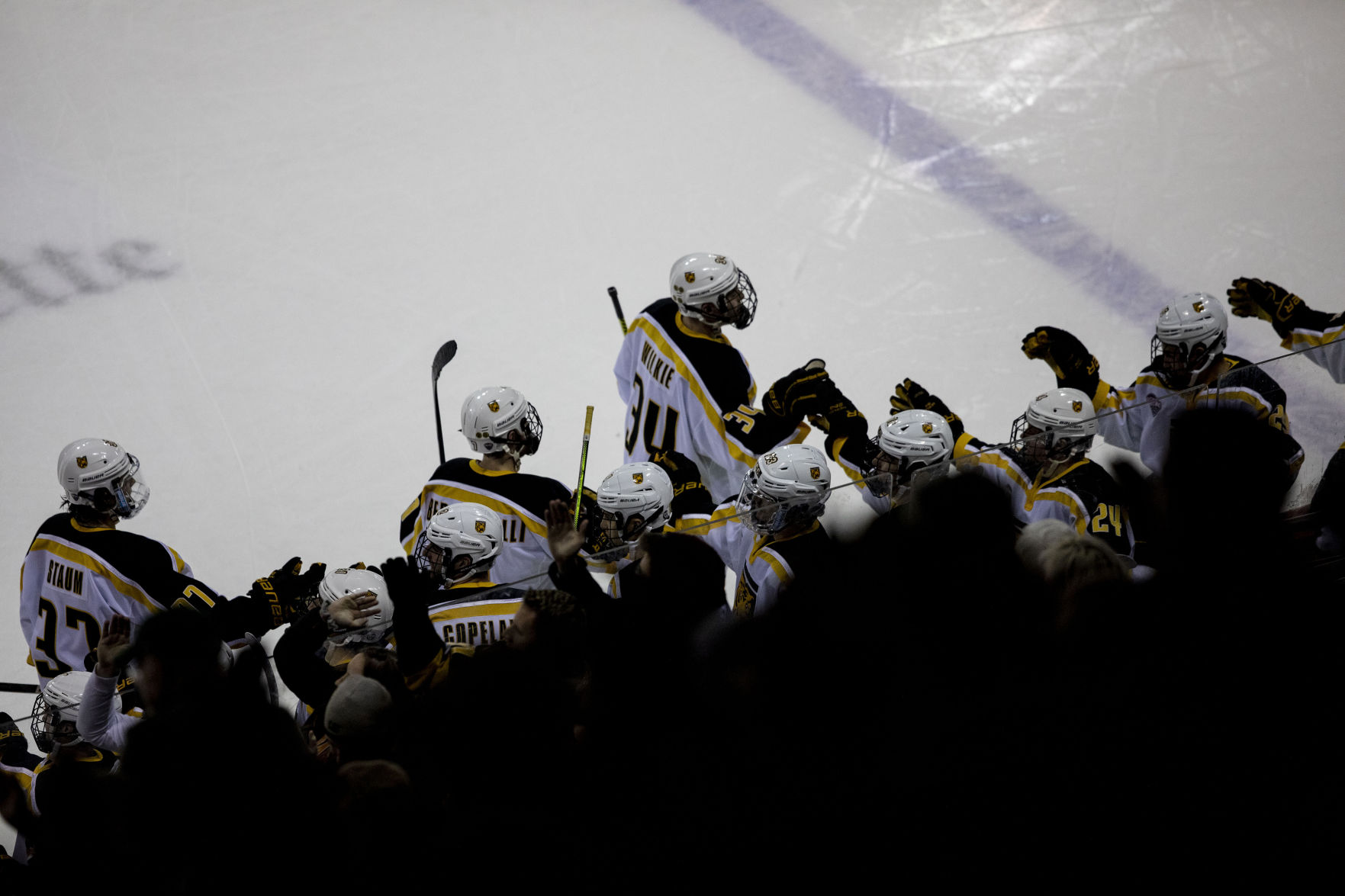 011220-s-CCHockey 11.jpg